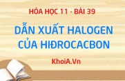 Dẫn xuất Halogen là gì? Tính chất vật lý, tính chất hóa học của dẫn xuất Halogen - Hóa 11 bài 39